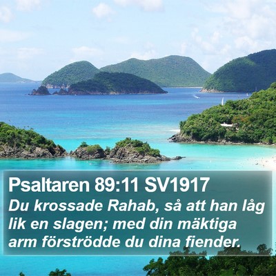 Psaltaren 89:11 SV1917 Bible Verse Image