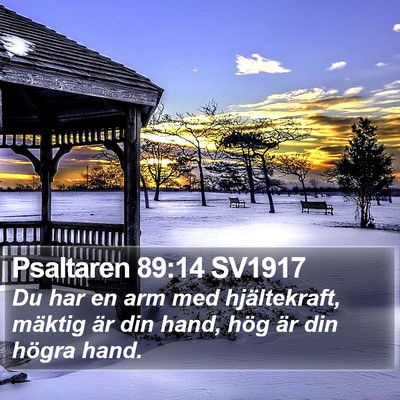 Psaltaren 89:14 SV1917 Bible Verse Image