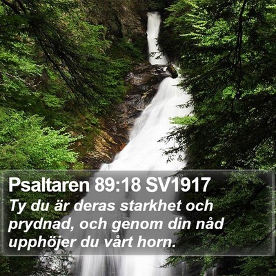 Psaltaren 89:18 SV1917 Bible Verse Image
