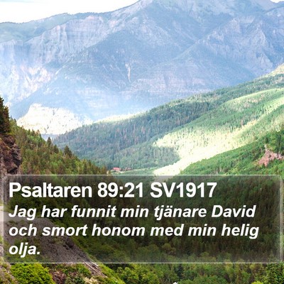 Psaltaren 89:21 SV1917 Bible Verse Image