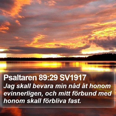 Psaltaren 89:29 SV1917 Bible Verse Image