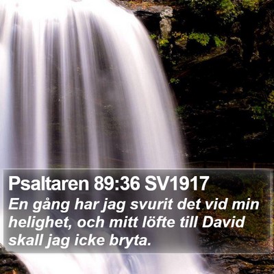 Psaltaren 89:36 SV1917 Bible Verse Image