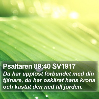 Psaltaren 89:40 SV1917 Bible Verse Image