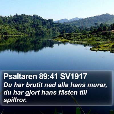 Psaltaren 89:41 SV1917 Bible Verse Image