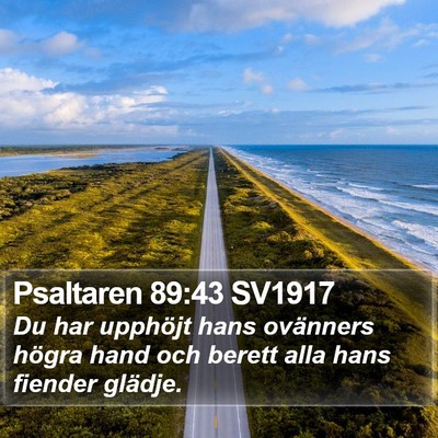 Psaltaren 89:43 SV1917 Bible Verse Image
