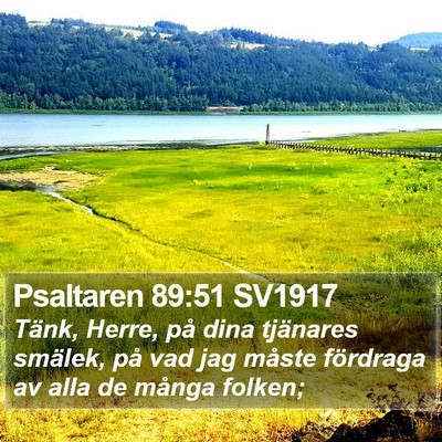 Psaltaren 89:51 SV1917 Bible Verse Image