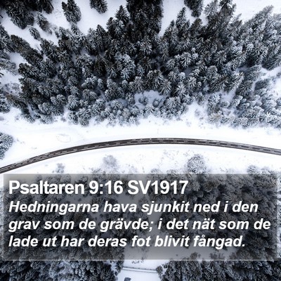 Psaltaren 9:16 SV1917 Bible Verse Image