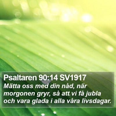 Psaltaren 90:14 SV1917 Bible Verse Image