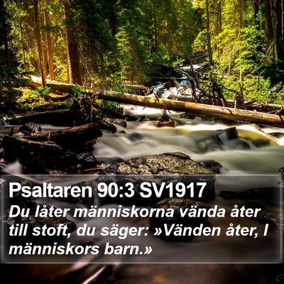 Psaltaren 90:3 SV1917 Bible Verse Image