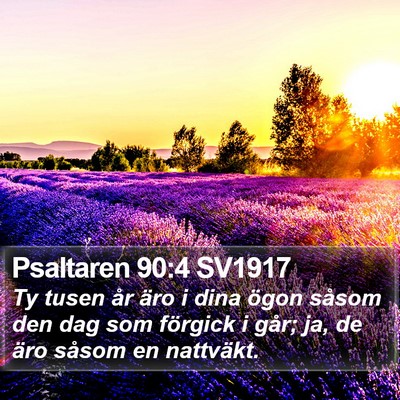 Psaltaren 90:4 SV1917 Bible Verse Image