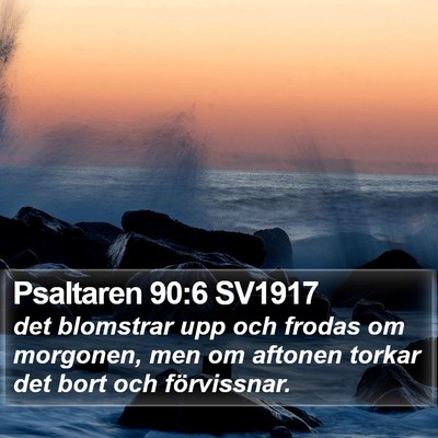 Psaltaren 90:6 SV1917 Bible Verse Image