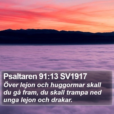 Psaltaren 91:13 SV1917 Bible Verse Image