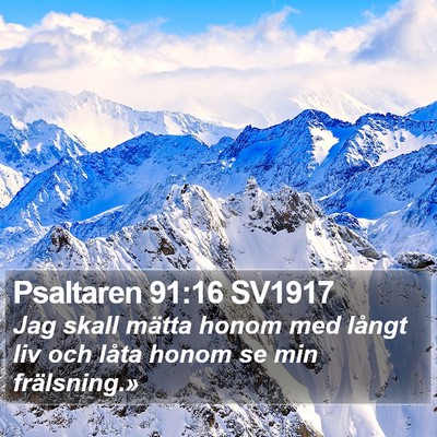 Psaltaren 91:16 SV1917 Bible Verse Image