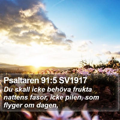 Psaltaren 91:5 SV1917 Bible Verse Image