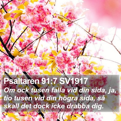 Psaltaren 91:7 SV1917 Bible Verse Image