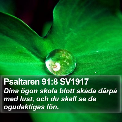 Psaltaren 91:8 SV1917 Bible Verse Image