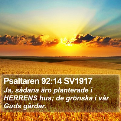 Psaltaren 92:14 SV1917 Bible Verse Image