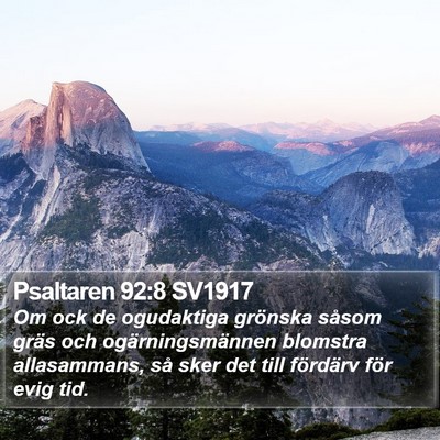Psaltaren 92:8 SV1917 Bible Verse Image