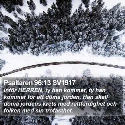Psaltaren 96:13 SV1917 Bible Verse Image
