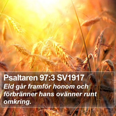 Psaltaren 97:3 SV1917 Bible Verse Image