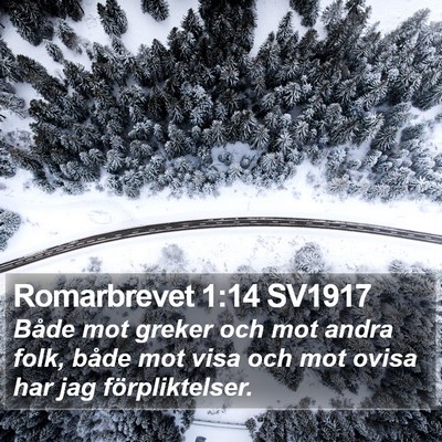 Romarbrevet 1:14 SV1917 Bible Verse Image