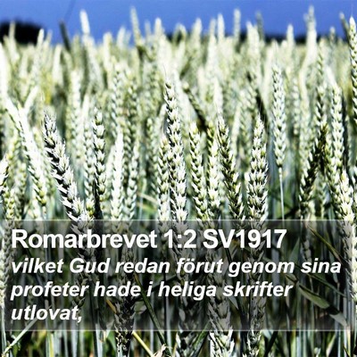 Romarbrevet 1:2 SV1917 Bible Verse Image