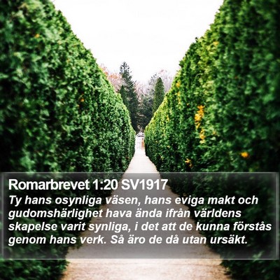 Romarbrevet 1:20 SV1917 Bible Verse Image