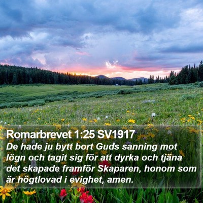 Romarbrevet 1:25 SV1917 Bible Verse Image