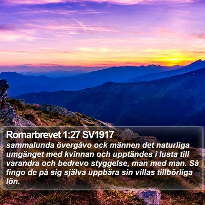 Romarbrevet 1:27 SV1917 Bible Verse Image