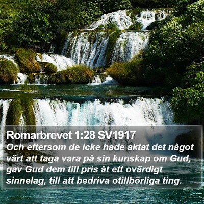 Romarbrevet 1:28 SV1917 Bible Verse Image