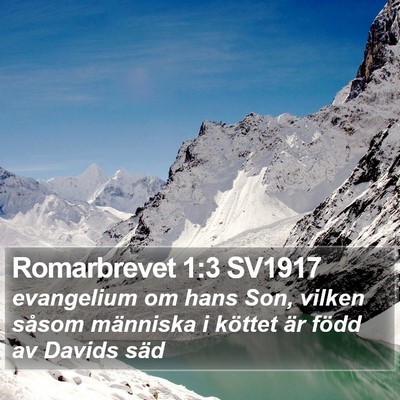Romarbrevet 1:3 SV1917 Bible Verse Image