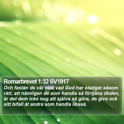 Romarbrevet 1:32 SV1917 Bible Verse Image