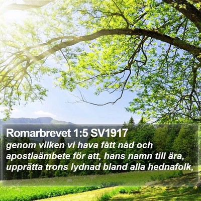 Romarbrevet 1:5 SV1917 Bible Verse Image
