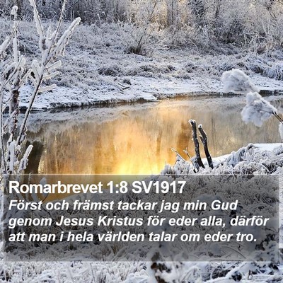 Romarbrevet 1:8 SV1917 Bible Verse Image