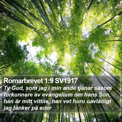 Romarbrevet 1:9 SV1917 Bible Verse Image