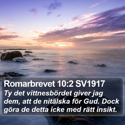 Romarbrevet 10:2 SV1917 Bible Verse Image