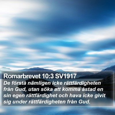 Romarbrevet 10:3 SV1917 Bible Verse Image