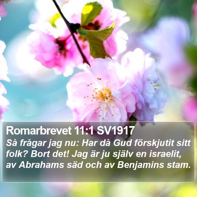 Romarbrevet 11:1 SV1917 Bible Verse Image