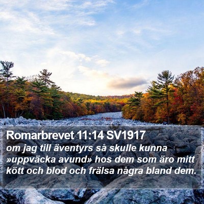 Romarbrevet 11:14 SV1917 Bible Verse Image