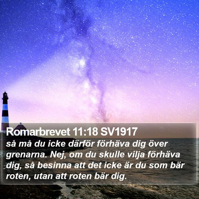 Romarbrevet 11:18 SV1917 Bible Verse Image