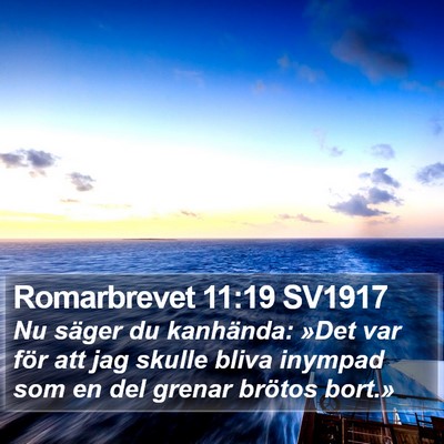 Romarbrevet 11:19 SV1917 Bible Verse Image