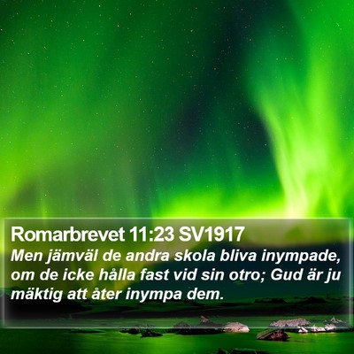 Romarbrevet 11:23 SV1917 Bible Verse Image