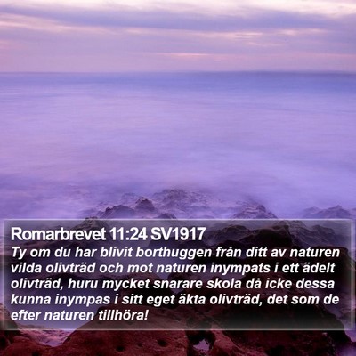 Romarbrevet 11:24 SV1917 Bible Verse Image