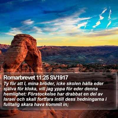 Romarbrevet 11:25 SV1917 Bible Verse Image