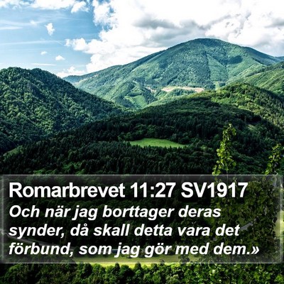 Romarbrevet 11:27 SV1917 Bible Verse Image