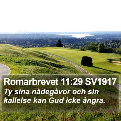 Romarbrevet 11:29 SV1917 Bible Verse Image