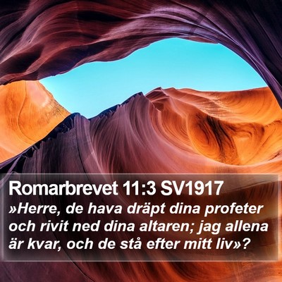 Romarbrevet 11:3 SV1917 Bible Verse Image