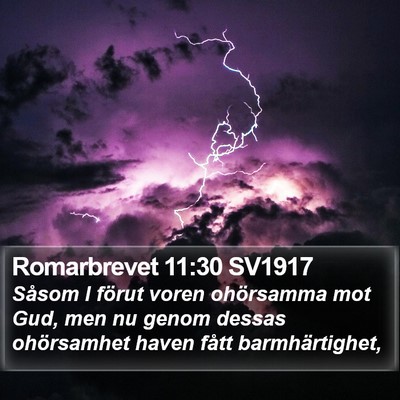Romarbrevet 11:30 SV1917 Bible Verse Image