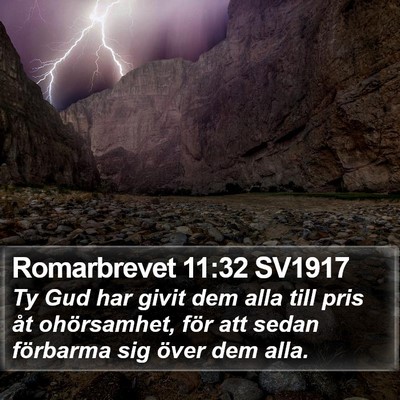 Romarbrevet 11:32 SV1917 Bible Verse Image