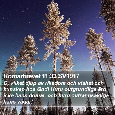 Romarbrevet 11:33 SV1917 Bible Verse Image
